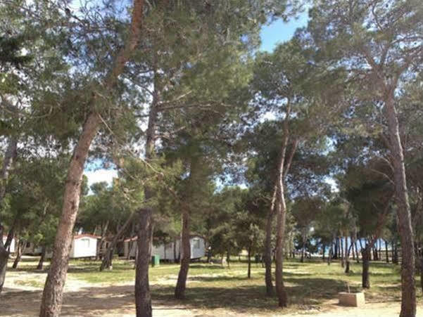 Camp Porat Hotel Povljana Luaran gambar