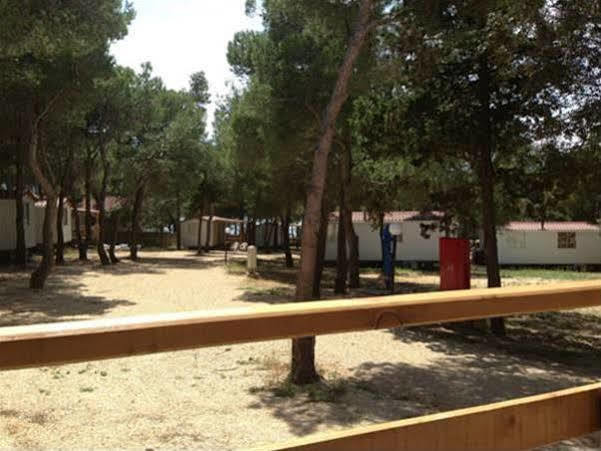 Camp Porat Hotel Povljana Luaran gambar